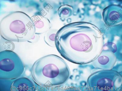 子宫内膜薄干细胞回输，巴中的价格多少？
