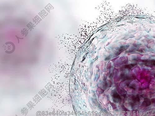 国家药监局：已批准100余个细胞和基因治疗产品开展临床试验