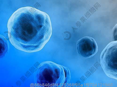 通化批准的干细胞医院 哪个干细胞医院效果不错？