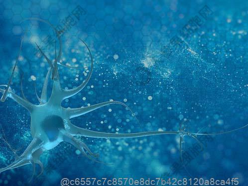 浆细胞干细胞价格多少？