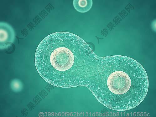 干细胞治疗在阿坝费用多少钱？