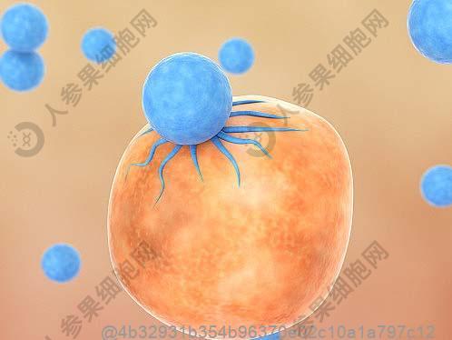 弱精症十大忌口食物：以下十种禁忌食物你一定要知道