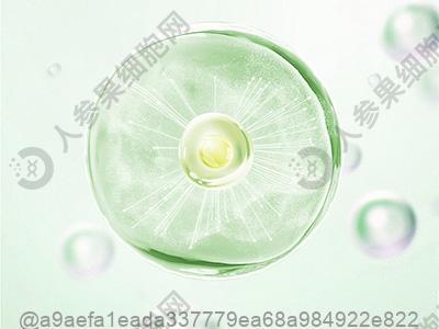 宜宾免疫细胞回输一次多少钱