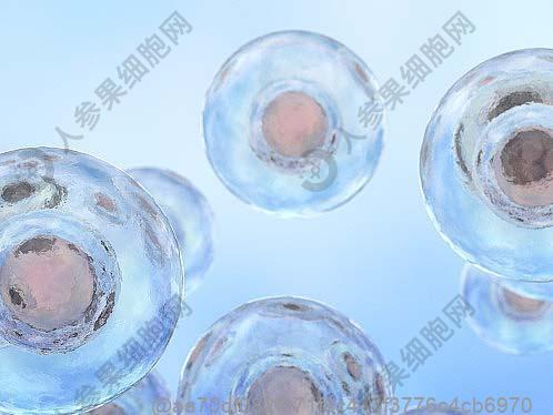 威海注射免疫细胞一针的价格