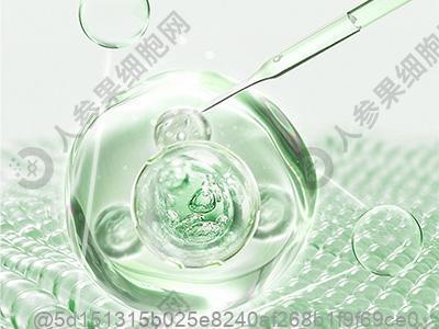 吕梁干细胞治疗糖尿病肾病医院排名