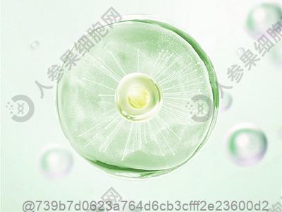绵阳干细胞治疗肌肉萎缩较好的医院