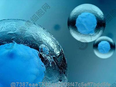 衡水老年痴呆干细胞治疗医院排行榜