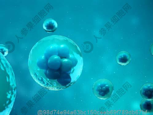 绵阳肝衰竭干细胞治疗医院排行榜