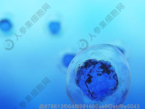 白银甲减干细胞治疗医院排行榜