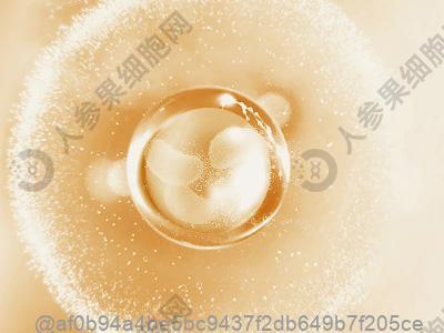 孝感看肝衰竭好的干细胞医院