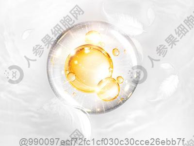 泰州尿毒症干细胞治疗医院