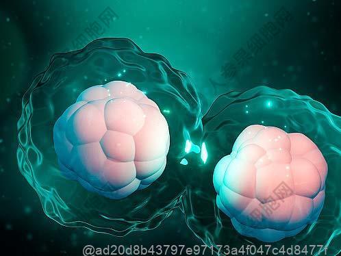 六盘水肌病好的干细胞医院