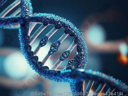 包头干细胞治疗2型糖尿病医院排名