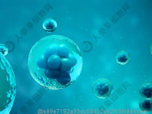 涟水免疫细胞多少钱一针？做免疫细胞的价格具体是多少