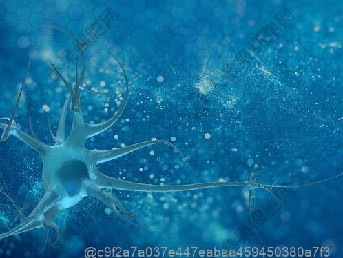 浏阳哪家不孕不育干细胞医院好