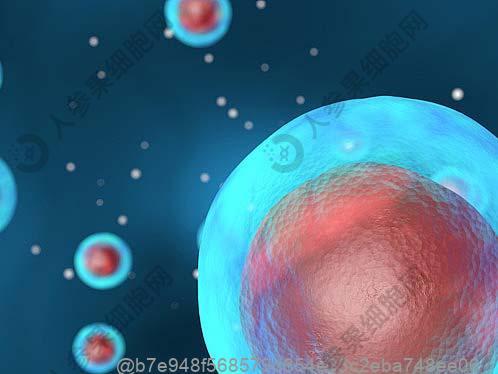 自贡酒精肝干细胞治疗医院排行榜