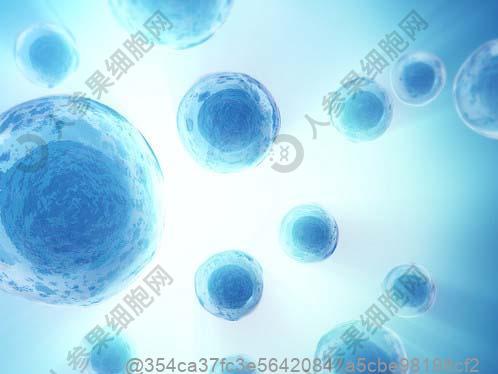 彩超甲状腺峡部2mm厚正常吗