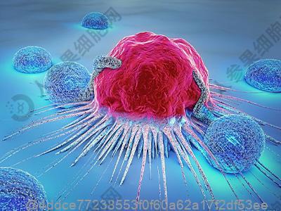 彩超检查甲状腺4a是什么意思