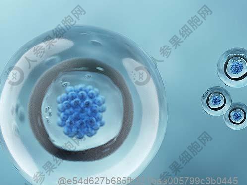ct检查肺部正常是不是就不是新冠