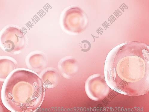 导致肝腹水病因是什么