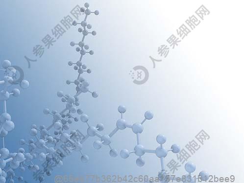 脂肪肝什么症状有哪些