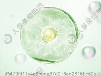 男生生殖皮长小红点