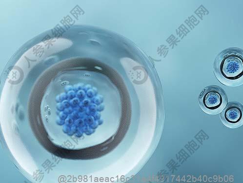 乙肝母婴阻断成功率