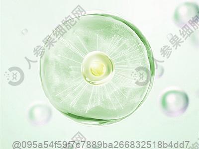脂肪肝肝功能会异常吗