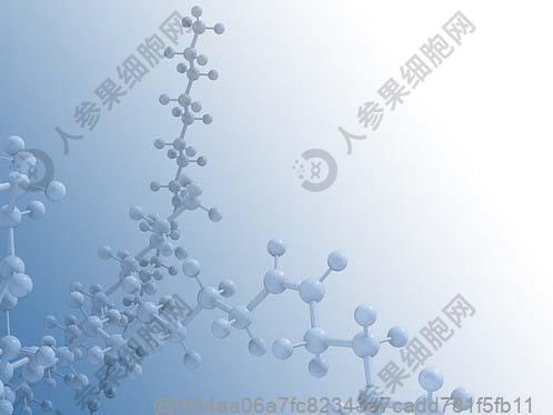 孩子出现癫痫了常见症状有