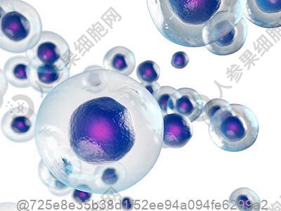 心源性肝腹水传染吗