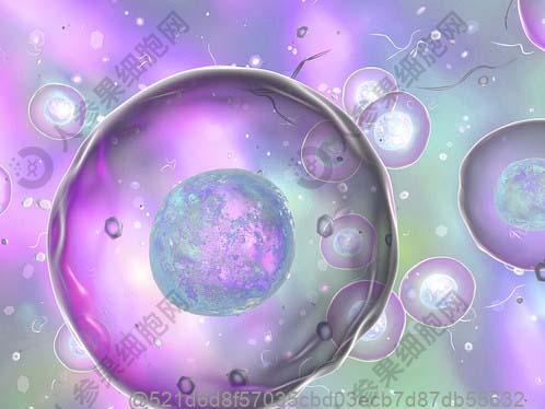 精子检查查出不育症