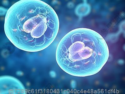 如何知道自己有没有hpv