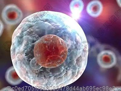 我想知道甲亢患者在什么样的情况下才能手术啊？谢谢