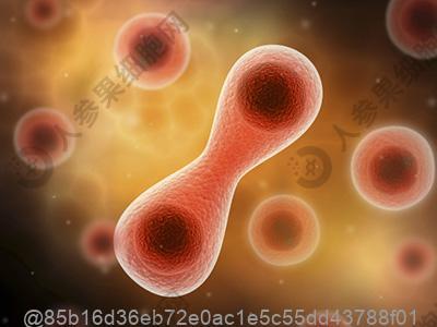 为何有些男性精子不液化