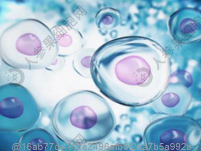 甲状腺b超可以查出甲亢吗