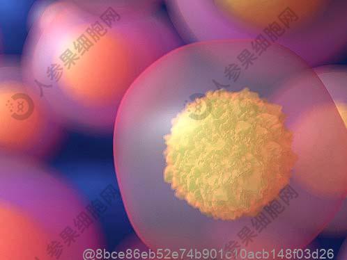 乳腺是不是真的到需要做手术那一步了