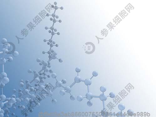 甲状腺功能检查能不能查出甲亢