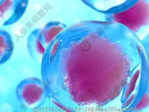 女性患继发性癫痫的症状有什么