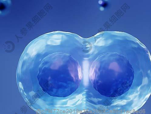 如何避免儿童被感染HPV