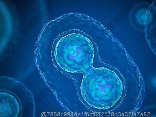 男性怎么会感染hpv
