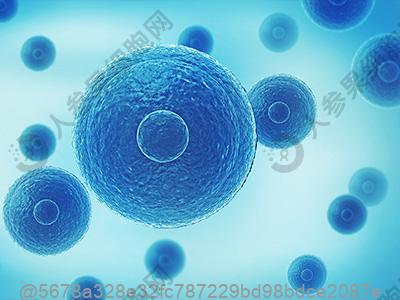 阳痿、早泄傻傻的分不清？教您正确区分男科疾病！