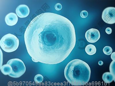 TCT检查和HPV检查的区别