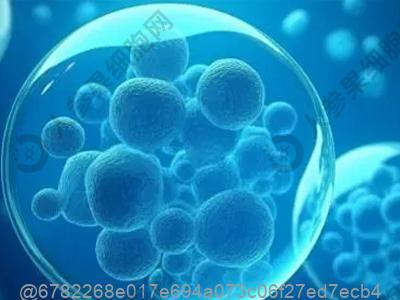 一型二型三型糖尿病区别生物