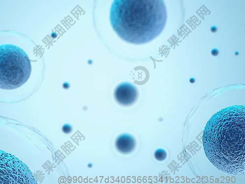 —HIV检查哪些人可能出现假阳