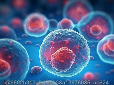 糖尿病人可以吃栗子吗
