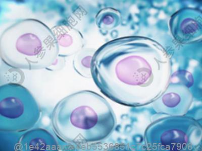 性功能检查是什么科