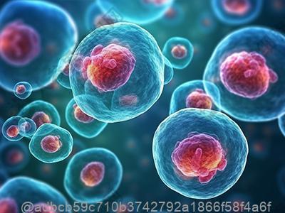 3月分的时候去大医院检查说是脑萎缩
