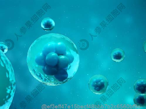 什么是甲状腺核素扫描（ECT）检查？