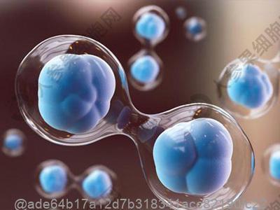 优生优育8项检查的费用