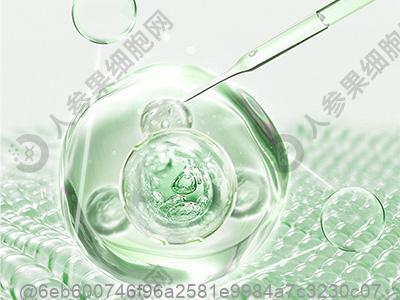 癫痫病几年没发作是不是就好了